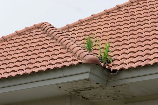 Roofing Ideas in Grand Junction CO